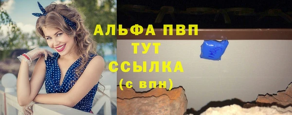 гашик Осташков