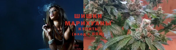 спиды Осинники