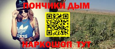 apvp Коммунар