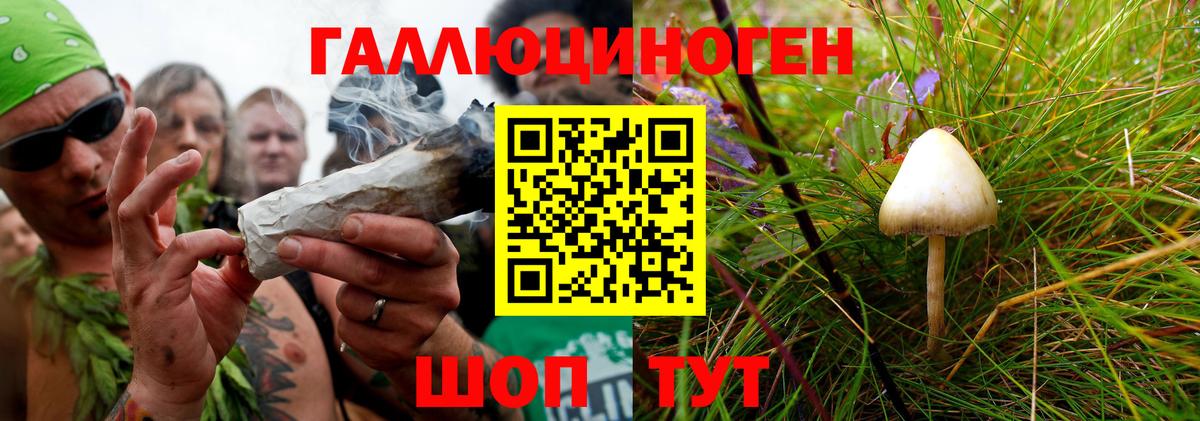 Галлюциногенные грибы Magic Shrooms Майкоп