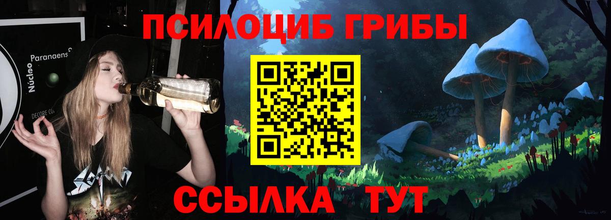 Псилоцибиновые грибы ЛСД Майкоп